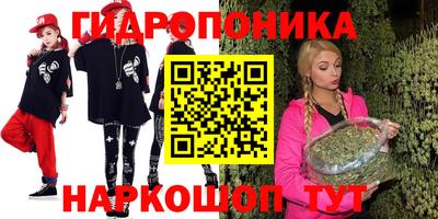 apvp Краснознаменск