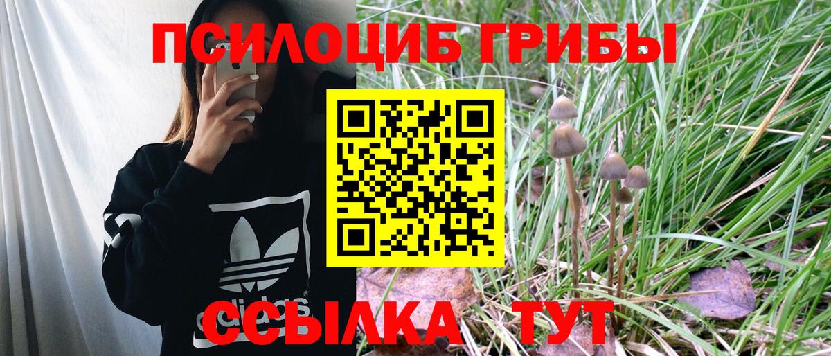Псилоцибиновые грибы мухоморы Кингисепп