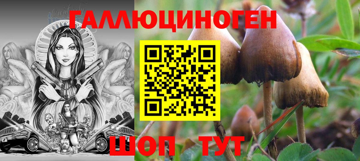 Кингисепп  Галлюциногенные грибы мухоморы  Вход с VPN 