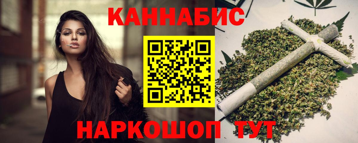 Марихуана сатива Кингисепп
